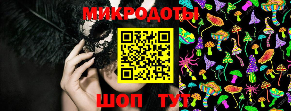 Галлюциногенные грибы Psilocybe Ногинск