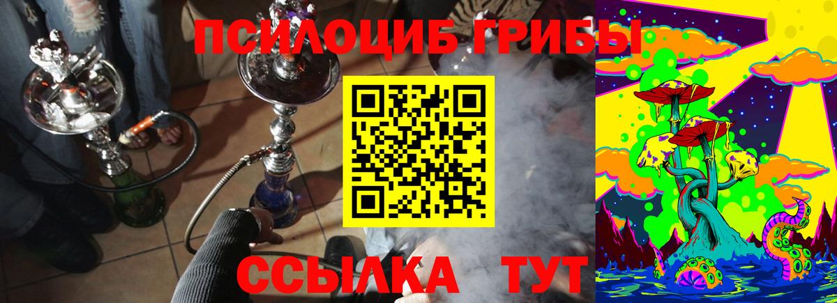 Галлюциногенные грибы Psilocybe  Галлюциногенные грибы MAGIC MUSHROOMS  Ногинск  закладки  Вход с VPN 