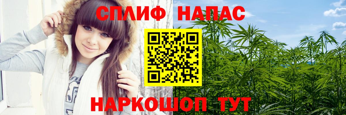 Лсд 25 Ногинск